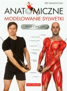 Obrazek Anatomiczne modelowanie sylwetki