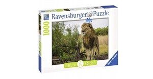 Obrazek Król Lew 1000