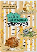 polish book : Grzyby. Le... - Katarzyna Kopiec-Sekieta
