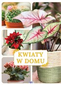 Zobacz : Kwiaty w d... - Opracowanie Zbiorowe