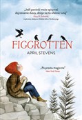 polish book : Figgrotten... - April Stevens