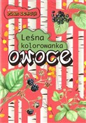 Owoce. Leś... - Katarzyna Kopiec-Sekieta -  Polish Bookstore 