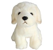 Retriver 1... -  Książka z wysyłką do UK