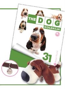 Picture of Dog Kolekcja 31 Bassethound