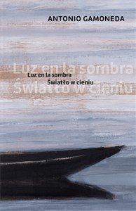 Picture of Światło w cieniu