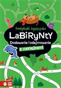 Labirynty.... - Zuzanna Osuchowska -  books in polish 