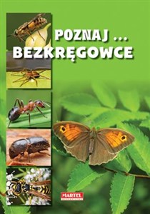 Obrazek Poznaj bezkręgowce