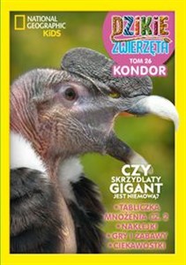 Obrazek Dzikie Zwierzęta. 26 Kondor