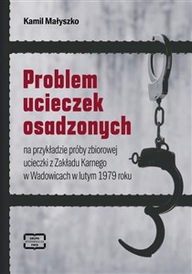 Obrazek Problem ucieczek osadzonych na przykładzie pró