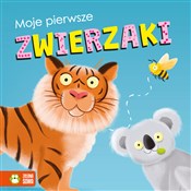 polish book : Moje pierw... - Ewelina Protasewicz