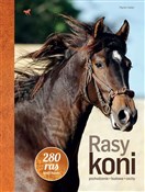 Rasy koni - Martin Haller -  foreign books in polish 