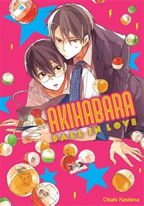 Obrazek Akihabara Fall in Love