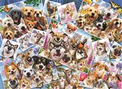 Puzzle 200... - Ksiegarnia w UK