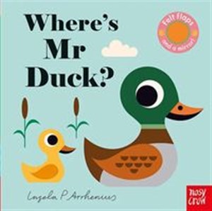 Picture of Where’s Mr Duck?