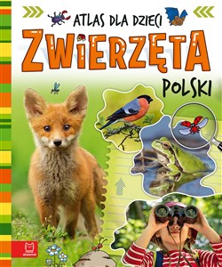 Obrazek Zwierzęta Polski. Atlas dla dzieci