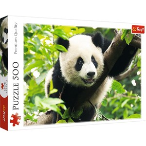 Picture of Puzzle 500 Panda