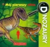 polish book : Dinozaury ... - Kamil Dziarmaga