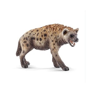 Picture of Hiena