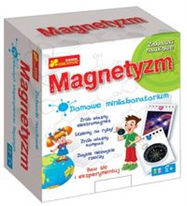 Picture of Magnetyzm Domowe minilaboratorium