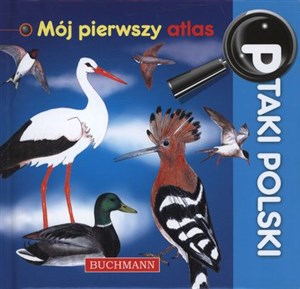 Picture of Ptaki Polski Mój pierwszy atlas