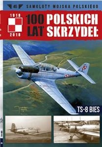Obrazek 100 lat polskich skrzydeł Tom 45 TS-8 Bies