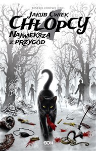 Picture of Chłopcy 4 Największa z przygód