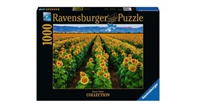 Obrazek Puzzle Pola Słoneczników 1000