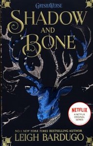 Obrazek Shadow and Bone Shadow and Bone