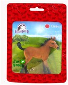 Źrebię ras... - Ksiegarnia w UK