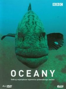 Picture of Oceany Box 4DVD