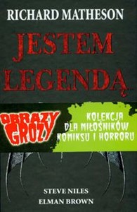 Obrazek Jestem legendą Obrazy grozy