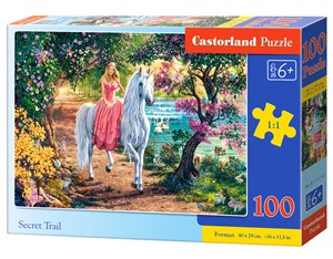 Picture of Puzzle Secret Trail 100 B-111114