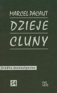 Picture of Dzieje Cluny