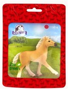 Źrebię ras... -  Polish Bookstore 