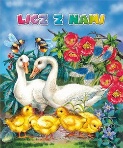 Picture of Licz z nami