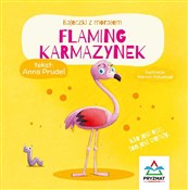 Książka : Flaming Ka... - Anna Prudel