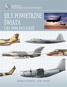 Picture of Siły powietrzne świata Od 1990 do dziś