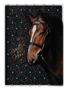 Picture of Błyszczący pamiętnik/ notes