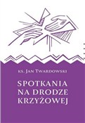 Książka : Spotkania ... - Jan Twardowski