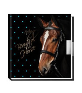 Picture of Pamiętnik z kłódką