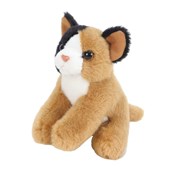 Książka : Kot siedzą...