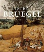 polish book : Pieter Bru... - Larry Silver