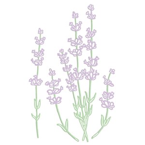 Picture of Zestaw wykrojników - Lawenda 4szt
