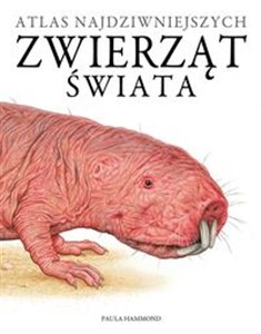 Picture of Atlas najdziwniejszych zwierząt świata