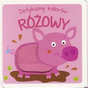 Picture of Dotykamy kolorów Różowy