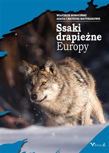 Picture of Ssaki drapieżne Europy