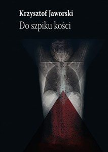 Picture of Do szpiku kości Ostatnia powieść awangardowa