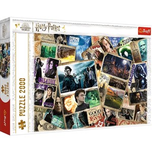 Picture of Puzzle Harry Potter Bohaterowie 2000