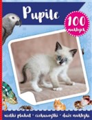 Zobacz : 100 naklej... - Opracowanie Zbiorowe