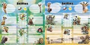 Picture of Naklejki na zeszyty